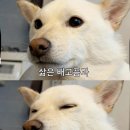 전주식당 이미지