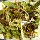 옹가네야채 이미지