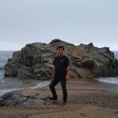 남호해수욕장 이미지