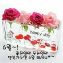 예쁜솜씨방 Daum카페