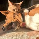 구월이십일 이미지