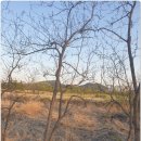 솔트베이(Salt Bay) 골프클럽 이미지