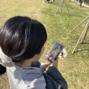 노블레스투어주