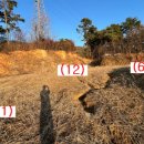 테라경매공인중개사사무소 이미지