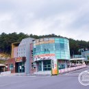 신효동 하귤나무 이미지