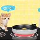 한국베링거인겔하임동물약품(주) 이미지