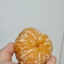 돌이농장