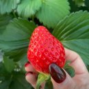 교동농장 이미지