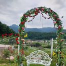 푸른뜰독채펜션 이미지