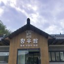 웰빙황토 우렁이 쌈밥 이미지