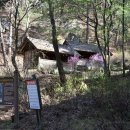 사회적협동조합피어나 네이버블로그