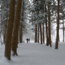 112. 부안 / 내변산 눈산행 ** 이미지