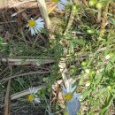 억새풀농장 이미지