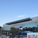 초보식물 집사들을 위한 홈가드닝 | 부산 노포동 화훼단지 이색 데이트 데팡스 가든센터/소망농원! 나도 이제 식물집사
