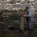 벌꿀식당 이미지