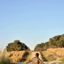 909 | 울산 슬도 근처 909디저트 카페 후기