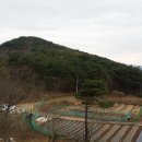 능산농장 티스토리