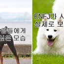 밈