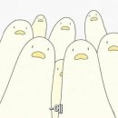 에잇쿠키
