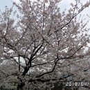 대원정사 이미지