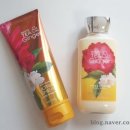 배스앤바디웍스(Bath and Body Works)