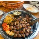 외대갈매기 이미지