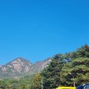 한방1공인중개사사무소 이미지