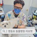 러브펫 동물병원 | 영등포 동물병원 | 러브펫 동물병원 여행필수 예방 접종