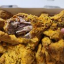 성복2로 | bhc 성복2호점 쁘링클 후기 (배달)