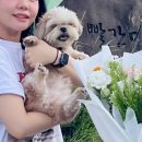 춘복살롱 이미지