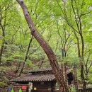 제3관문 옆 화장실 이미지