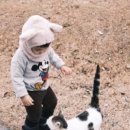 틸다하우스 이미지