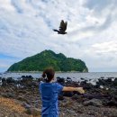 제주야생동물구조센터 이미지