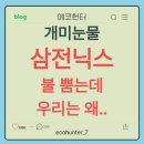 (주)영원파마 | 삼전·닉스 불뿜는데 바이오주는 왜 폭락할까? 개미들 눈물의 손절과 역발상 투자 기회