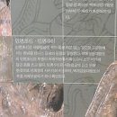 능산리 고분군 전시관 이미지