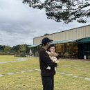 유모차 끌고 가기 좋은 카페 후기 리스트 (그리니그린...수피아, 목수의진달래, 온더그린,카페 산책...