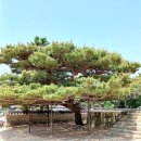 대수풀농장 | 수어장대와 행궁 그리고 송수탑, 남한산성을 걷다