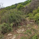 옥천군동이면우산보건진료소 | 沃川旅行(97): 세조 칼바람 피해 망덕산 지우대 은거한 박간생