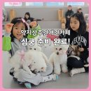 약지애견카페 | 인천 논현동 약지 상주견애견카페 재방문 후기ㅣ방학마다 아이와 함께 가는 곳