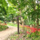 용천사 치유센터 이미지