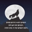 그림자 놀이에 빠진 사람들 [최원영의 책갈피] 37화 이미지