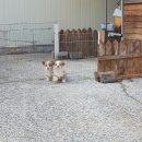 돌트미스테이 이미지