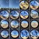 헬로헤일리 | [페스티벌후기] 251115 우리는 지는 해를 좋아해 @변산해수욕장