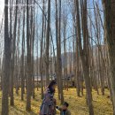 송탄햄버거 | 17 : 경주 도리마을 / 평택 미스진햄버거 / 삽교호 놀이동산 / 당진 아미미술관 / 평택 웨스턴베이...