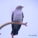 하늘땅공인중개사사무소 이미지