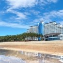 포포아일랜드 이미지