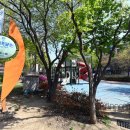 대갈놀이공원 이미지