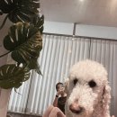 라이프 발란서 | [내돈내산 / 필라테스 후기] 문산 핑크핏 필라테스 내돈내산 후기