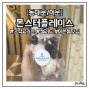 씨유 이문1호점 | [동대문] 그릭요거트 맛집, 몬스터플레이스 이문점 내돈내산 솔직 후기