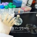 (주)와이디생명과학